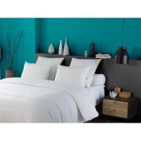 DODO Lot de 2 oreillers Tendance 50x70 cm- 100% Polyester(m-2)