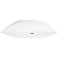 DODO Oreiller LUXOR 60x60 cm - 100% Coton - Effet Duvet(m-6)