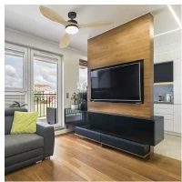 OKLAHOMA Noir & Bois - Ventilateur de plafond Ø137cm 100W + éclairage LED(m-2)