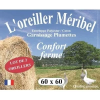 DODO Lot de 2 Oreillers MERIBEL Plumettes 60x60cm(m-1)