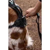 Harnais pour chien - SYMBIOZ - XXS - Noir / Bleu(m-5)