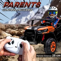 AIYAPLAY 24V Electric Ride on Car, 2-Seater Electric Car for Kids with Remote, Bluetooth, Soft Start, Suspension Spring, Orange(m-5)