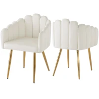 Set da 2 sedie moderne con design a ventaglio, 48x44.5x82 cm, Bianco(m-2)