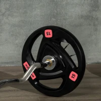 SPORTNOW Conjunto de 2 Discos de Pesos Olimpicos 15kg Ferro Fundido Placas de Peso com Orifício de 5 cm Ø40x5 cm Preto(m-7)