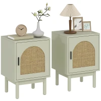 HOMCOM Set di 2 comodini, con anta in resina intrecciata, ripiano regolabile 40 x 35 x 58 cm, verde chiaro(m-7)