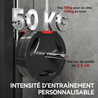 SPORTNOW Appareil de musculation mural, station de traction, poulie haute et basse, 2 poulies, en acier, 75 x 16 x 192 cm, noir(m-6)