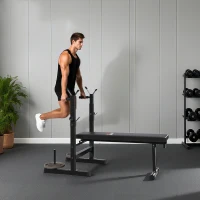 HOMCOM Banco de Musculación con Soporte para Barra y Estación de Dips Carga 150 kg para Entrenamiento en Casa Gimnasio(m-9)