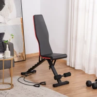 HOMCOM Banc de musculation pliable dossier réglable 6 niveaux assise ajutable 4 niveaux coussin 130 x 34 x 109 cm noir et rouge(m-10)
