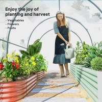 Outsunny Polytunnel Greenhouse Walk-in Grow House with Plasric Cover, Door, Mesh Window and Steel Frame, 3 x 2 x 2m, Clear(m-8)