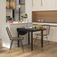 HOMCOM Lot de 2 chaises de salle à manger avec pied structure en acier noir, assise résine effet rotin, style bohème(m-10)