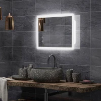 kleankin Miroir mural lumineux LED de salle de bain 70L x 50l cm 3 couleurs luminosité réglable interrupteur tactile transparent(m-10)