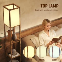 HOMCOM Floor Lamp with Shelves, 4 Layer Standing Lamp with USB Ports, 3 Colour Temperature, Rustic Brown(m-6)