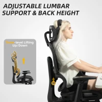 HOMCOM Multi-Adjustable Mesh Office Chair - Black(m-8)