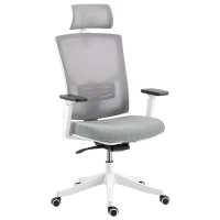 HOMCOM Chaise de bureau ergonomique et respirante avec soutien lombaire dynamique 4D, 64.5x62.5x112-122 cm, Multicolore(m-7)