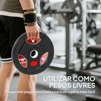 SPORTNOW Discos de Pesos com Orifício de Ø50 mm 2 Discos de 10 kg com Triplo Aperto para Halteres e Barras Ø32x4,5 cm Preto(m-4)