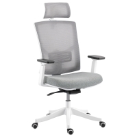 HOMCOM Sedia da Ufficio Ergonomica e Traspirante con Supporto Lombare Dinamico 4D, 64.5x62.5x112-122 cm, Multicolore