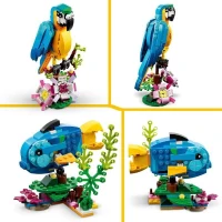 LEGO Creator 3-en-1 31136 Le Perroquet Exotique, Figurines Animaux de la Jungle, avec Grenouille et Poisson(m-4)