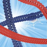 Recharge Flextreme - Sipidey - 72 Pistes - 2 ventouses de fixation(m-3)