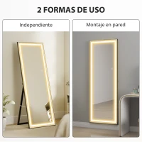 HOMCOM Espejo de Pie Cuerpo Entero con Luces 165x60 cm de Pie o de Pared 3 Temperaturas de Color Ajustables Blanco y Negro(m-6)