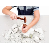 Clementoni - Science & Jeu - Archéo Ludic - T-Rex(m-4)