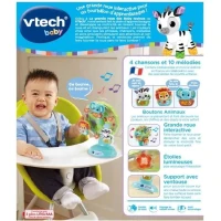VTECH BABY - La Grande Roue des Baby Loulous - Roue musicale avec ventouse anti-chute - Vert/Multicolore(m-6)