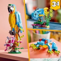 LEGO Creator 3-en-1 31136 Le Perroquet Exotique, Figurines Animaux de la Jungle, avec Grenouille et Poisson(m-5)