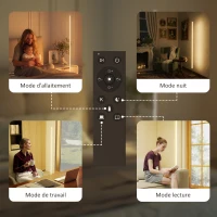 HOMCOM Lampadaire LED, lampadaire sur pied salon à intensité variable, télécommande, interrupteur à pied, Ø20x150cm, argent(m-6)