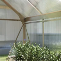Outsunny 6 x 6ft Polycarbonate Greenhouse - Clear(m-8)