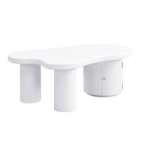 Tavolino da salotto asimmetrico con vano portaoggetti, per soggiorno e uffici, 100x60x37 cm, Bianco(m-11)