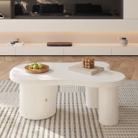 Tavolino da salotto asimmetrico con vano portaoggetti, per soggiorno e uffici, 100x60x37 cm, Bianco(m-1)