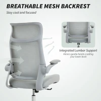 HOMCOM Scaun de birou ergonomic cu cotiere reglabile și tetieră, gri(m-5)