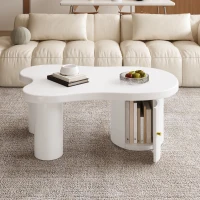 Tavolino da salotto asimmetrico con vano portaoggetti, per soggiorno e uffici, 100x60x37 cm, Bianco(m-5)