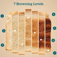 HOMCOM Set Fierbător Electric 2200W 1.7L și Prăjitor Dublu 7 Nivele Alb(m-6)