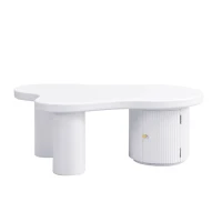 Tavolino da salotto asimmetrico con vano portaoggetti, per soggiorno e uffici, 100x60x37 cm, Bianco(m-2)