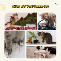 PawHut 63cm Cat Scratching Post, Cat Scratcher with Replaceable Scratching Board, Top Perch, Sisal Scratch Mat, Oak(m-7)