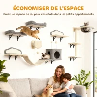PawHut Étagères murales pour chat ensemble de meubles muraux 6 pièces hamac à bulles en acrylique niche hamac échelle beige(m-5)