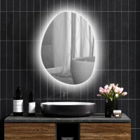 HOMCOM Miroir de Salle de Bain Asymétrique LED 70 x 50 cm - 3 couleurs, anti-buée, montage mural avec interrupteur tactile(m-10)