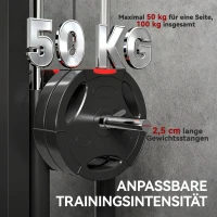 SPORTNOW Roeimachine voor training, wandgemonteerd fitnessapparaat, kabelmachine voor thuisgym, staal, zwart(m-6)
