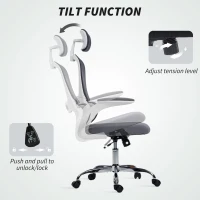 HOMCOM Mesh Back Office Chair, with Lumbar Support - Charcoal Grey(m-8)