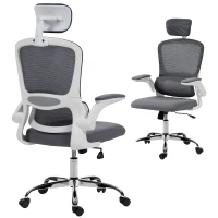 HOMCOM Mesh Back Office Chair, with Lumbar Support - Charcoal Grey(m-10)