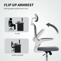 HOMCOM Mesh Back Office Chair, with Lumbar Support - Charcoal Grey(m-7)