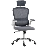 HOMCOM Mesh Back Office Chair, with Lumbar Support - Charcoal Grey(m-11)