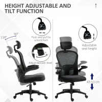 Vinsetto Multi-Adjustable Office Chair, with Lumbar Support, Headrest and Mesh Back - Black(m-4)