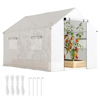 Outsunny Serre de jardin tunnel 2 x 3m, 6m² avec porte enroulable, 4 fenêtres, - Acier galvanisé PE Haute densité Blanc(m-11)