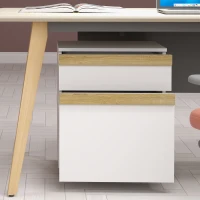 Vinsetto Gaveteiro de Escritório com Rodízios com 2 Gavetas Deslizantes Organizador de Pastas 48x40x59,5 cm Branco(m-4)