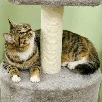 PawHut Árvore para Gatos com Arranhadores e Raspadores em Sisal Natural Árvore Escalável Casinha Altura 103 cm Cinza(m-5)