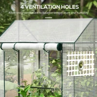 Outsunny Green House, Mini Greenhouse with 2 Roll-up Doors, Vent Holes and Reinforced Cover, 100 x 80 x 150cm(m-6)