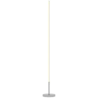 HOMCOM Lámpara de Pie Moderna Salón con Brillo Temperaturas de Color Ajustables Mando a Distancia Magnético Gris Plateado(m-11)