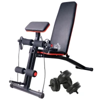 HOMCOM Banc de musculation pliable inclinable réglable sangles élastiques support haltères inclus acier noir rouge + Ensemble d'haltères Courtes Total 20 Kg acier HDPE noir(m-12)