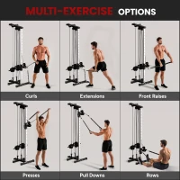 SPORTNOW Wall Mount Cable Machine, 15 Positions Adjustable Cable Crossover Machine Dual Pulley System for Home Gym(m-4)